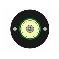 Cables de fibra óptica de tubo central para exteriores GYXTW 4-12 G.652.D Fibra, rellena de gel, tubo central, armadura de acero corrugado simple, chaqueta de un solo PEAD